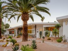 a palm tree in front of a white house with rocks and cactuses around it