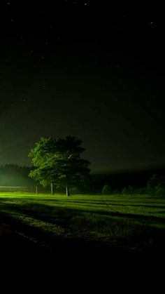 a green field at night with trees in the foreground and bright lights shining on the grass