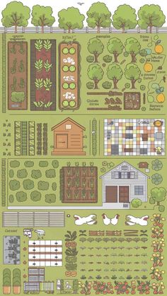 a garden plan with lots of different plants and trees