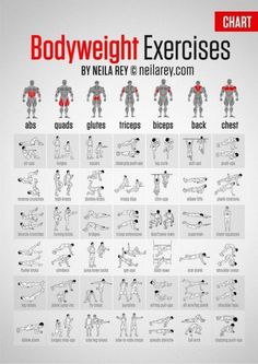 the bodyweight exercises chart is shown