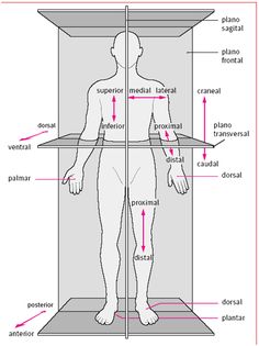 the human body with labels on it and labeled in different parts, including the main areas