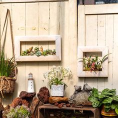 several different types of plants and rocks in front of a wooden wall with two framed pictures on it