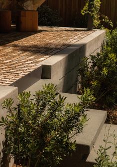 the concrete steps are lined with plants and trees