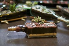 there is a small plant growing out of a bottle on the table next to other desserts