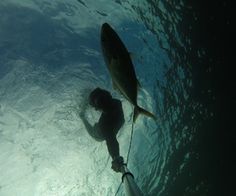 a man standing next to a fish in the ocean