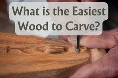 a person carving wood with the words what is the fastest wood to carve?