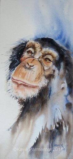 a watercolor painting of a monkey's head and shoulders, with blue sky in the background