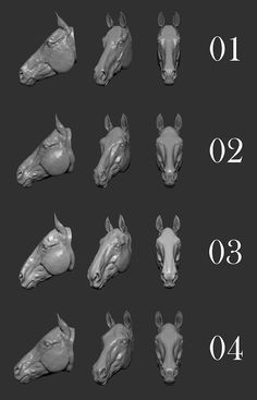 an image of horse heads with numbers on them