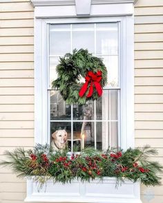 a dog looking out the window with a christmas wreath on it's windowsill