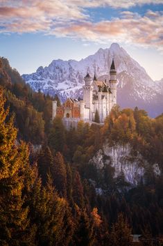 a castle on top of a mountain surrounded by trees