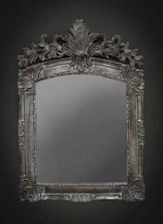 an ornate silver framed mirror against a black background with the reflection of leaves and flowers