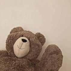 a brown teddy bear sitting up against a white wall