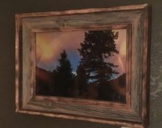 the reflection of trees in a mirror hangs on the wall above a toilet paper dispenser