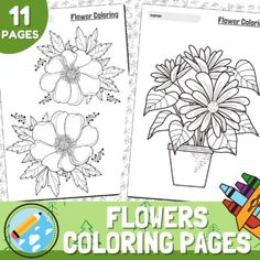 flower coloring pages with flowers and crayons