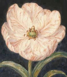 a painting of a white flower with green leaves on the bottom and an insect in the middle