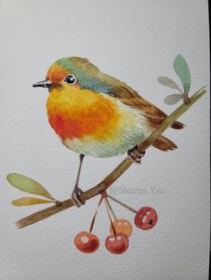 a watercolor painting of a bird on a branch with berries