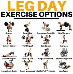 an image of a man doing leg day exercises