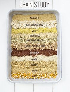 an overhead view of grains in a container with the words grain study written below it