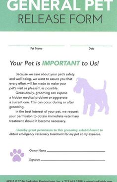 a green and white flyer with a dog's paw on the front, which reads general pet release form your pet is important to us