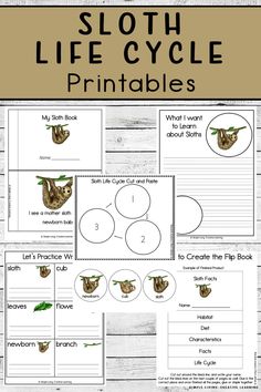 sloth life cycle printables Sloth Art Preschool, Sloth Activities For Preschool, Sloth Activities, Sloth Craft Template Free Printable, Sloth Template Printable, Sloth Template Free Printable, Slowly Slowly Said The Sloth Activities, Sloth Facts, Sloth Names