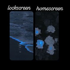 two pictures side by side with the words lockscreen, homescreen and blue flowers