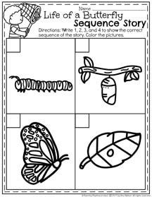 the life cycle of a butterfly sequence story