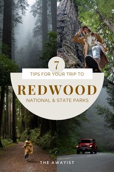 the redwood national and state parks with text overlay that reads 7 tips for your trip to redwood