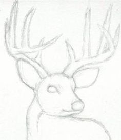 a drawing of a deer with antlers on it's head and the outline of its face