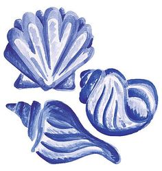 three seashells are shown in blue and white