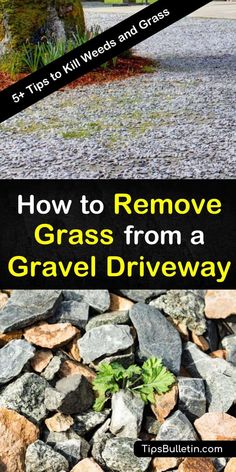 how to remove grass from a gravel driveway with text overlay that reads, how to remove grass from a gravel driveway