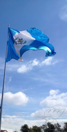 a blue and white flag flying in the sky