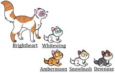 the four different types of cats are shown in this cartoon character's name and their meanings