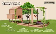 the chicken coop is designed to look like a house