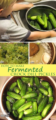 how to make fermented grocer dill pickles in the kitchen