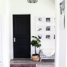 a black door in a white room with pictures on the wall and a potted plant