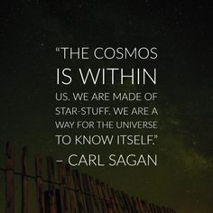 the cosmos is within us we are made of star - stuff we are a way for the universe to know itself carl sagan