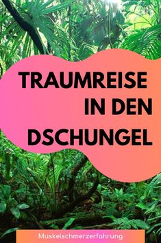 the words traum reie in den dschungel