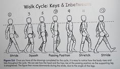 the instructions for how to walk in different directions