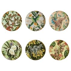 six plates with animals and plants on them