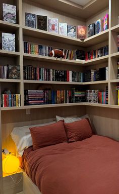 Readers Room Bedrooms, Reader Room Aesthetic, Book Corner Ideas Bedroom, Home Library Aesthetic, Book Corner Ideas, Dream Home Library, Bookshelf Inspo, Cozy Home Library, Bedroom Library