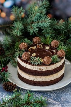 a chocolate cake on a white plate surrounded by pine cones and evergreen branches with decorations