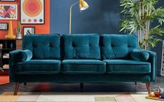 a blue couch sitting in a living room next to a potted plant