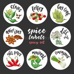 Spices and herbs labels. Colored vector spicy set vector illustration Colour Tutorial, Herb Illustration, Cumin Spice, Drawing Food, Tattoo Thoughts, Cooking Design