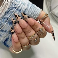 Shapes Nails, Long Stiletto, Nails Stiletto, Colored Acrylic, Brown Cow, Nails Spring, Acrylic Powder, Acrylic Sheets, Fire Nails