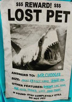 a t - shirt with a shark's teeth on it that reads, reward $ $ $ $ lost pet answers to mr cuddles