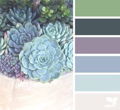 a potted plant filled with lots of succulents next to a color swatch