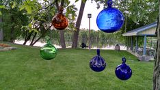 three blown glass vases hanging from trees in the grass near a body of water