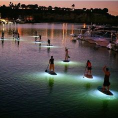 several people stand on surfboards in the water at night, with lights reflecting off them