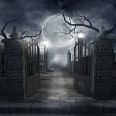 an open gate leading into the dark night with full moon in the sky behind it