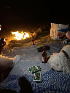 two dogs sitting on a blanket in front of a campfire with beer and cards